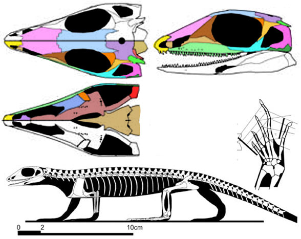 Archaeovenator