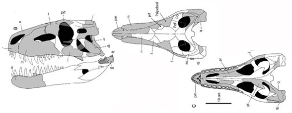 Teratosaurus