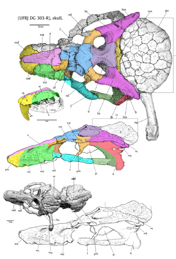 armadillosuchus