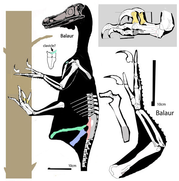 Balaur 2