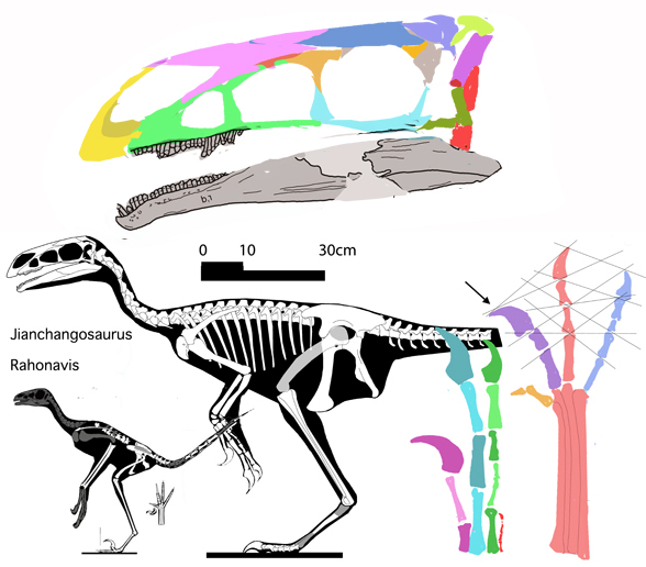 Jianchangosaurus