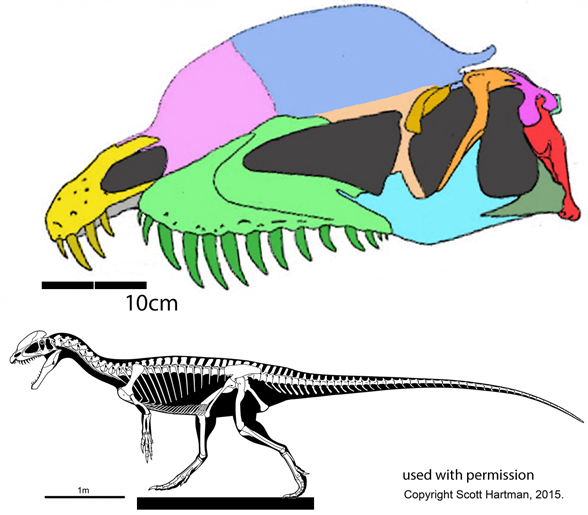 Dilophosaurus