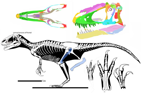 Yutyrannus