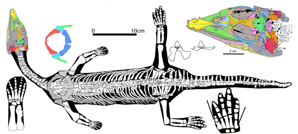 Qianxisaurus