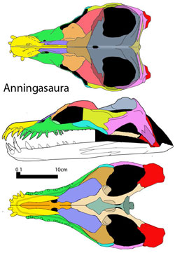 Anningsaura