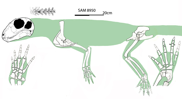 Hipposaurus