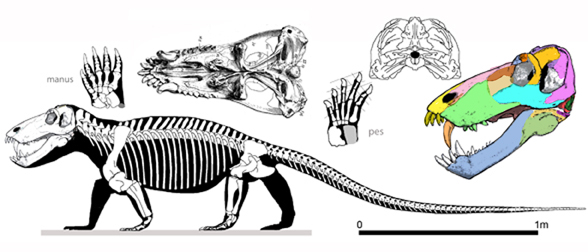 Titanophoneus