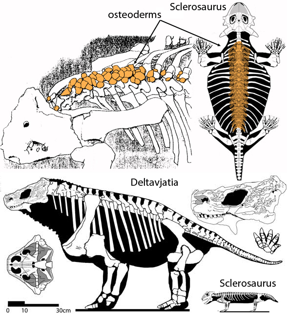 Deltavjatia