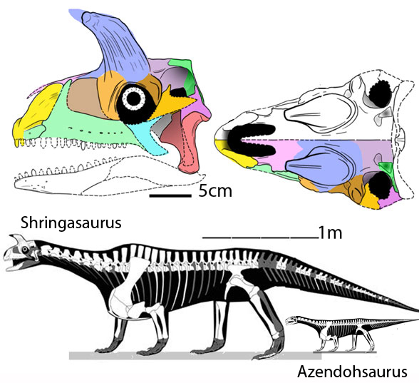 Shringasaurus