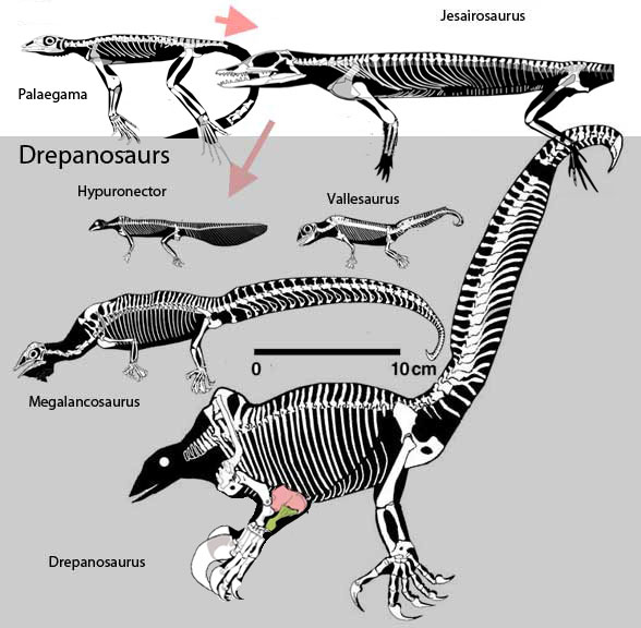 Drepanosauria