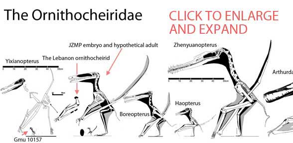 Ornithocheiridae