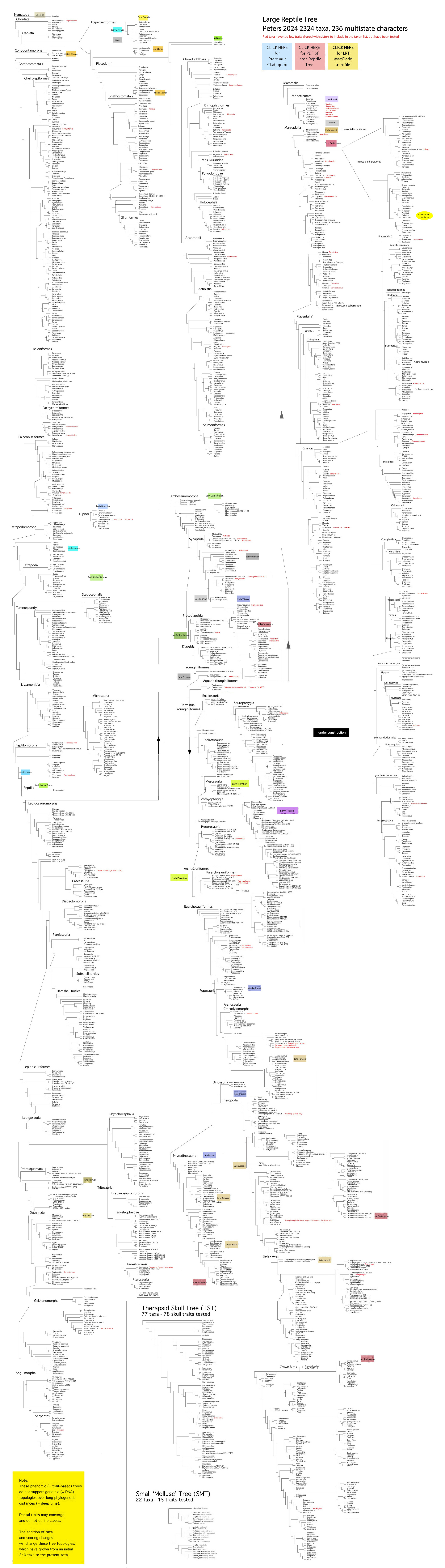 Large Reptile Family Tree