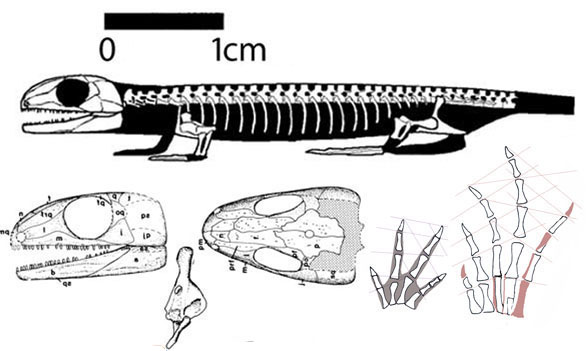 Utaherpeton